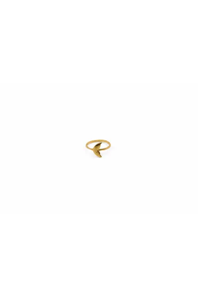 Zenith, image 1 from 18k Gold-Plated Rings